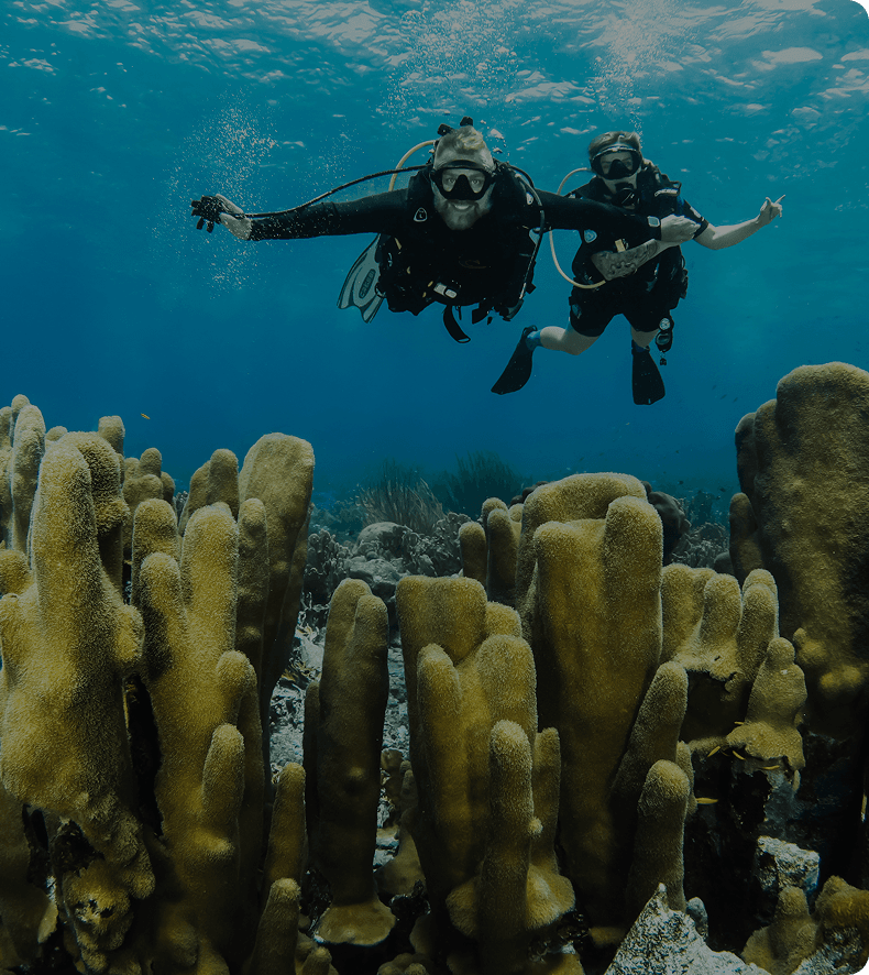 This is Contact Image